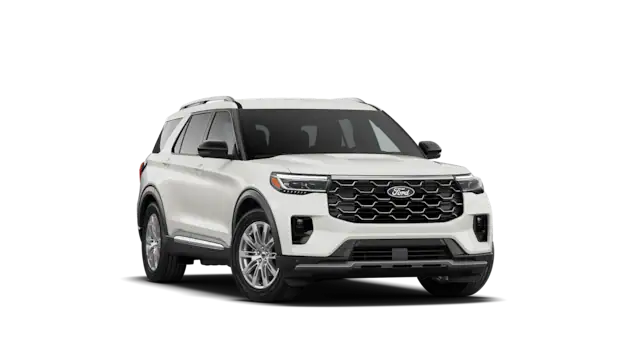 Platinum™ trim image